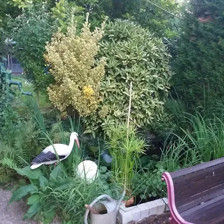 Maison De Village Nyaraló *